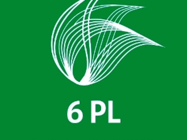 Logo 6 pl